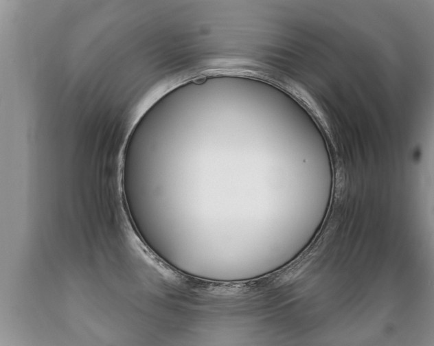 X0000089731386200706210907