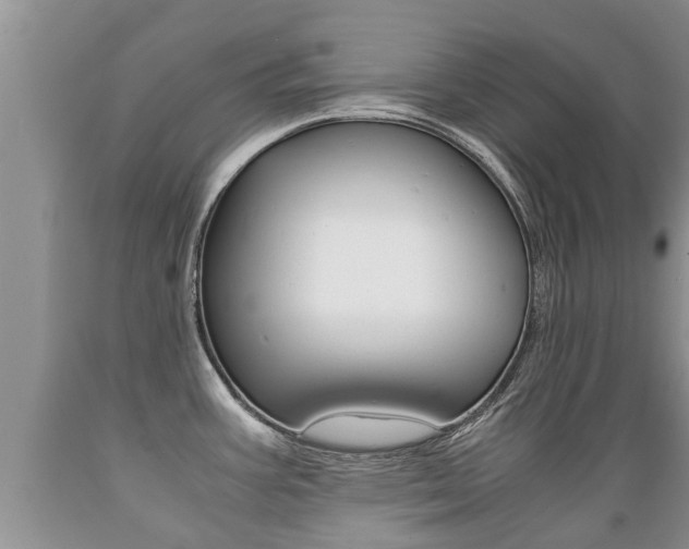 X0000089731387200706210907