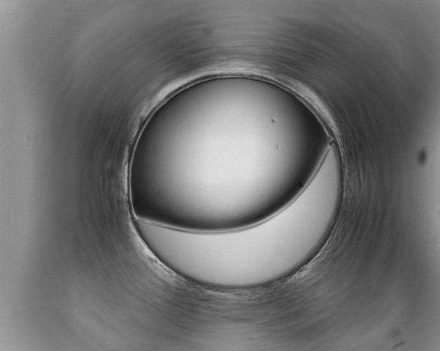 X0000089731388200706210907