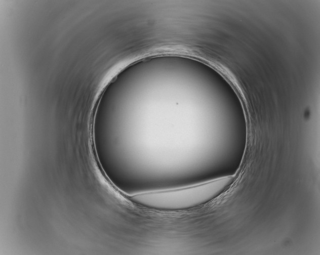 X0000089731389200706210907