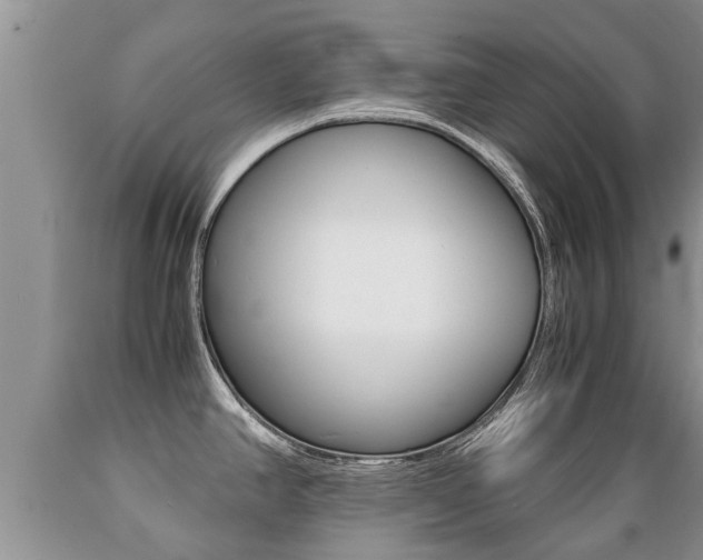 X0000089731390200706210907