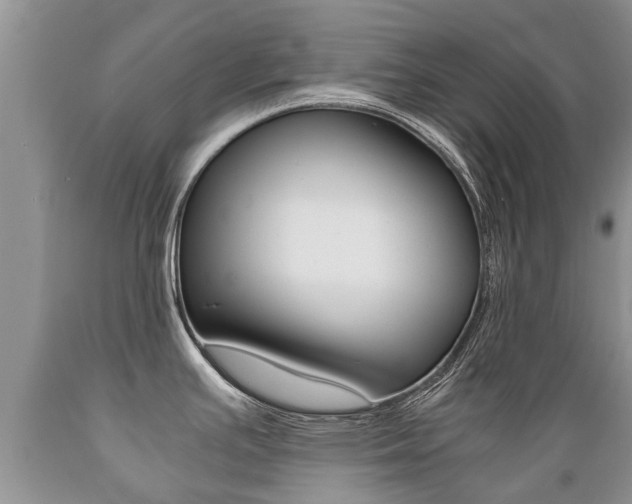 X0000089731391200706210907
