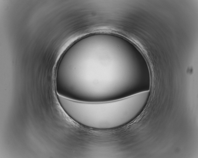 X0000089731392200706210907
