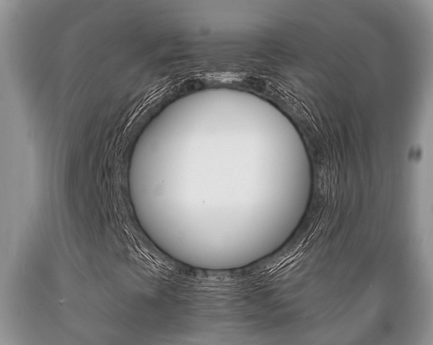 X0000089731393200706210906