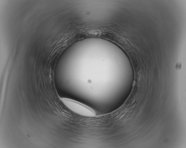 X0000089731394200706210906