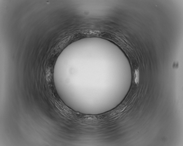 X0000089731395200706210906