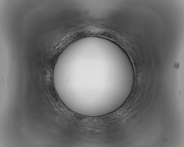 X0000089731397200706210906