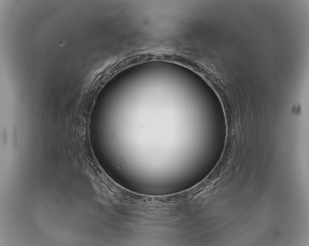 X0000089731398200706210906