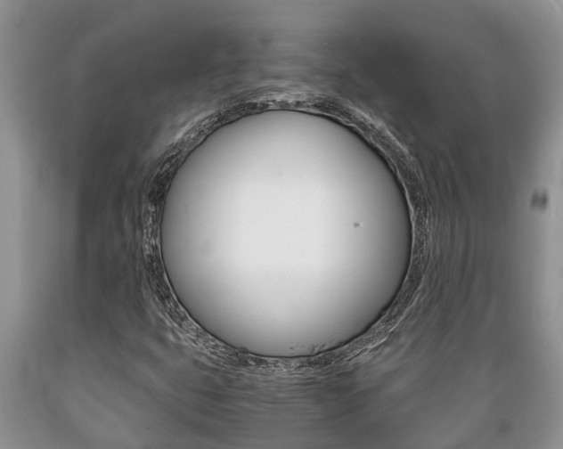 X0000089731399200706210906