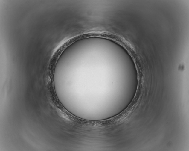 X0000089731400200706210906