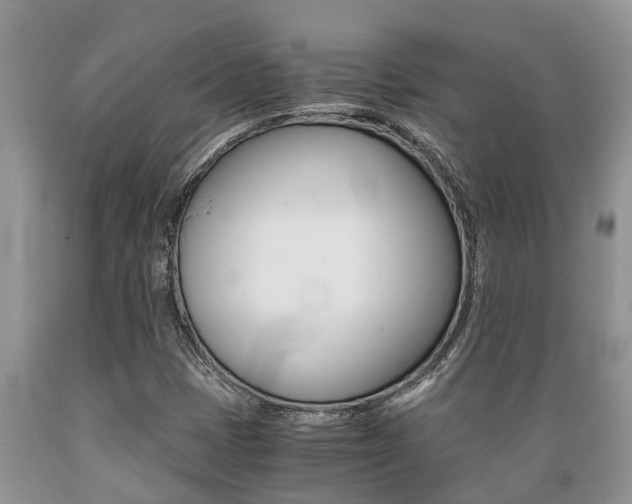 X0000089731401200706210906