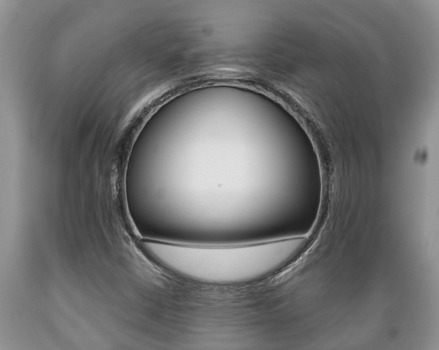 X0000089731402200706210906