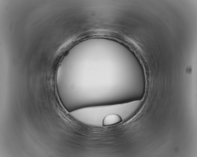 X0000089731403200706210906
