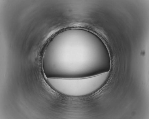 X0000089731404200706210906