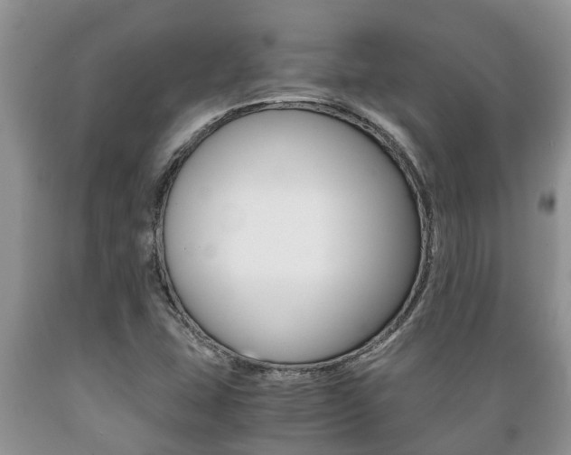 X0000089731407200706210906