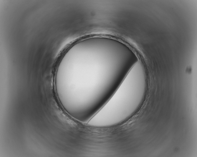 X0000089731408200706210906