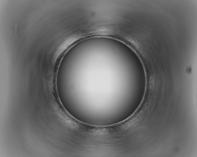 X0000089731410200706210906