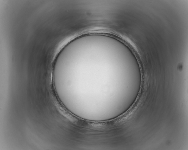 X0000089731413200706210906