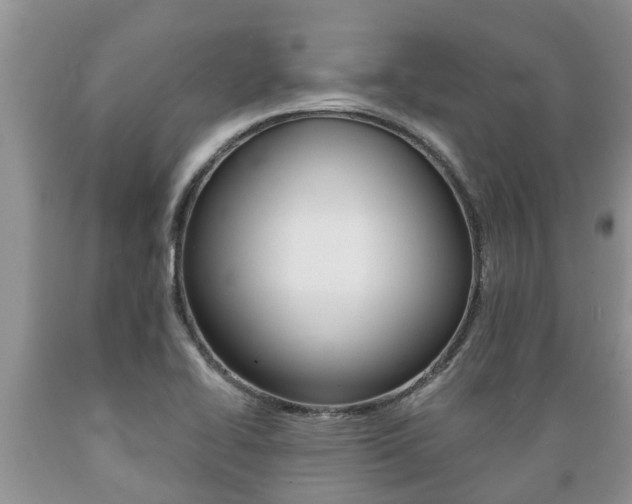 X0000089731414200706210906