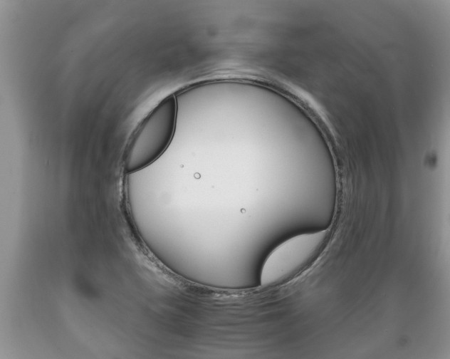 X0000089731415200706210906