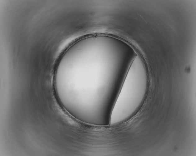 X0000089731416200706210906