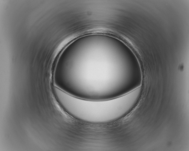 X0000089731418200706210906