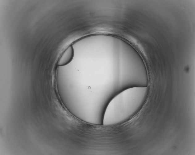X0000089731419200706210906