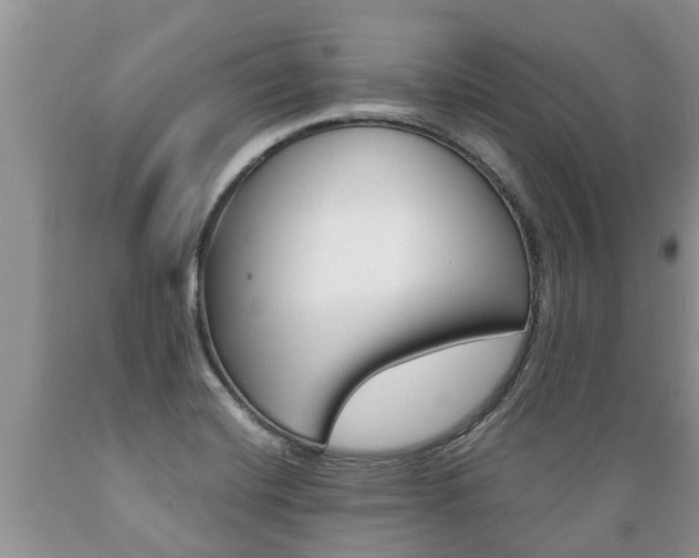 X0000089731420200706210906