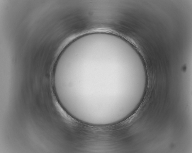 X0000089731422200706210906