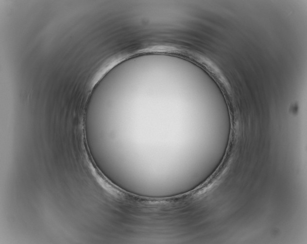 X0000089731425200706210906