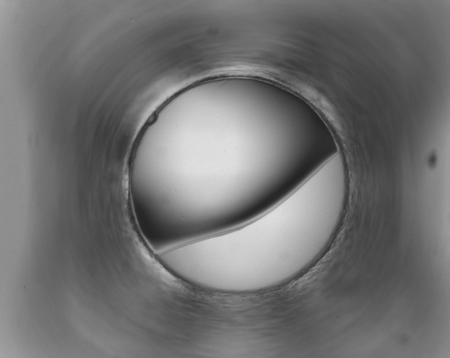 X0000089731428200706210906