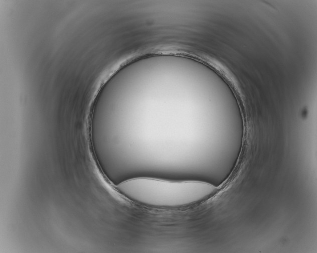 X0000089731429200706210906