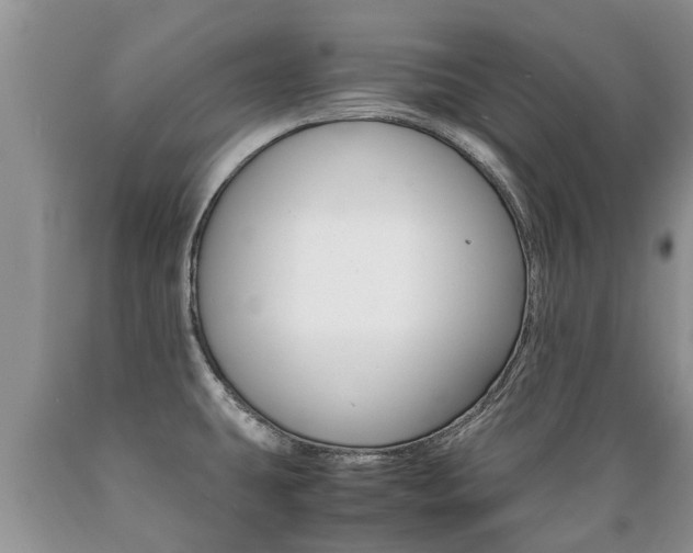 X0000089731431200706210906