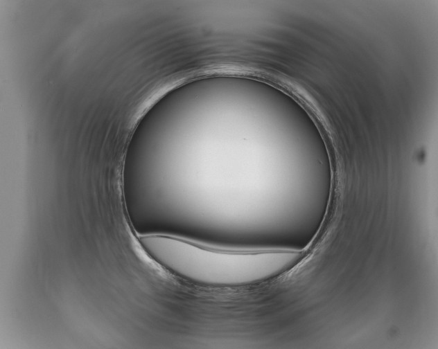 X0000089731433200706210906