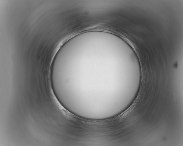 X0000089731434200706210906
