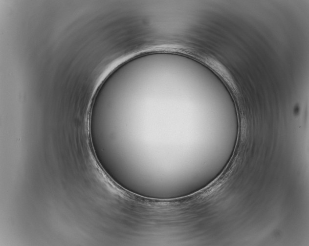 X0000089731436200706210906