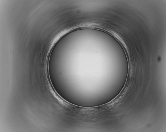 X0000089731437200706210906