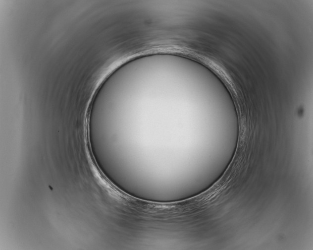 X0000089731439200706210907