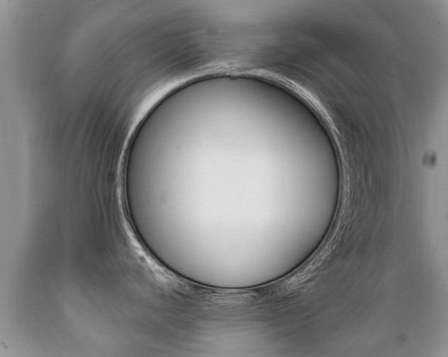 X0000089731440200706210907