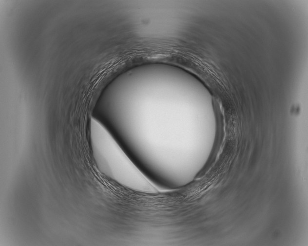 X0000089731441200706210906