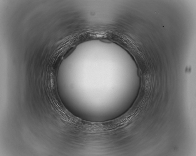X0000089731442200706210906