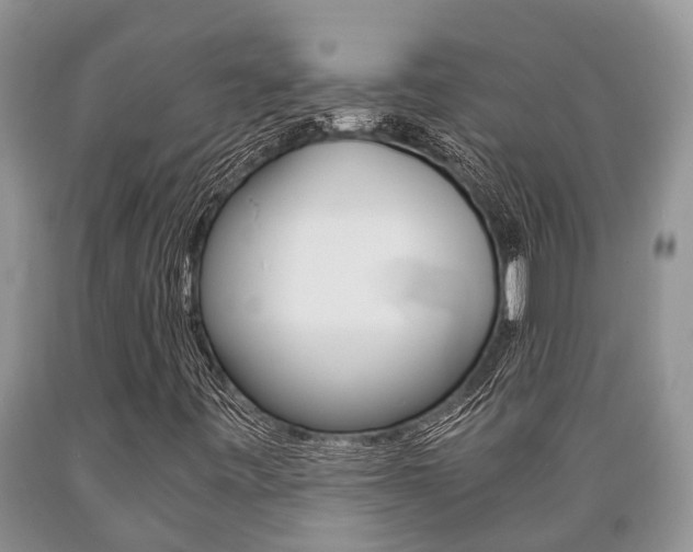 X0000089731443200706210906