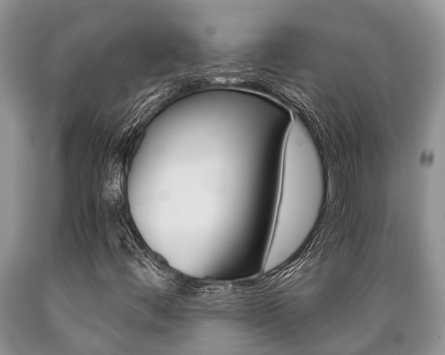 X0000089731444200706210906
