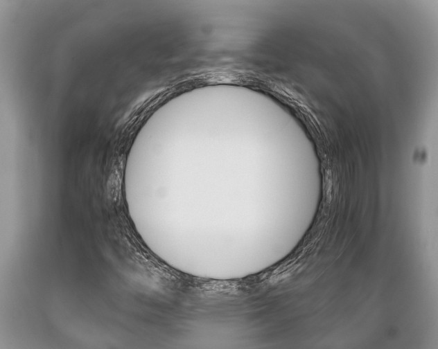 X0000089731446200706210906