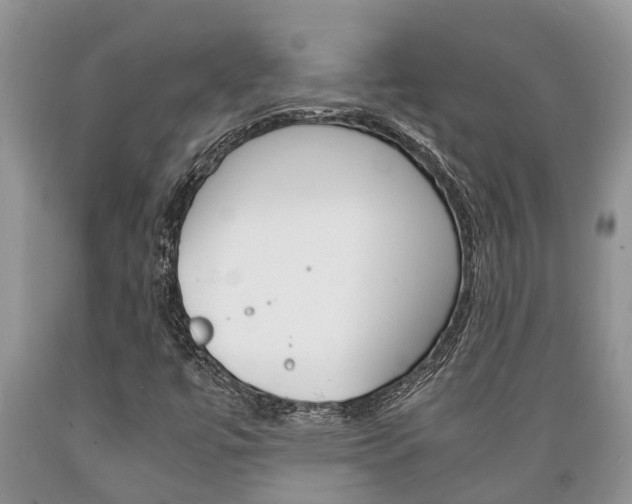 X0000089731447200706210906