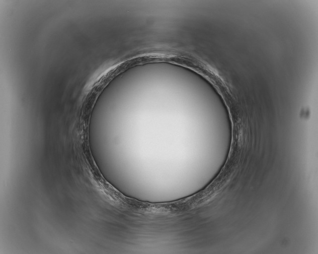 X0000089731448200706210906