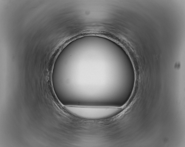 X0000089731449200706210906