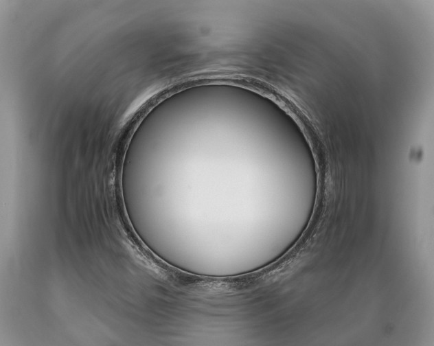 X0000089731450200706210906