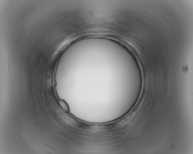 X0000089731451200706210906