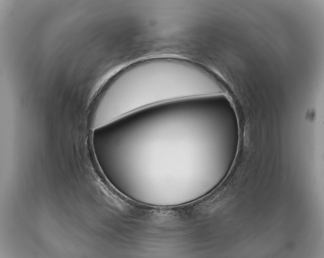 X0000089731452200706210906